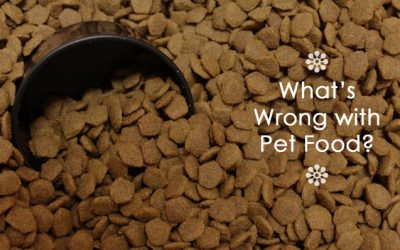 What’s Wrong With Pet Food?