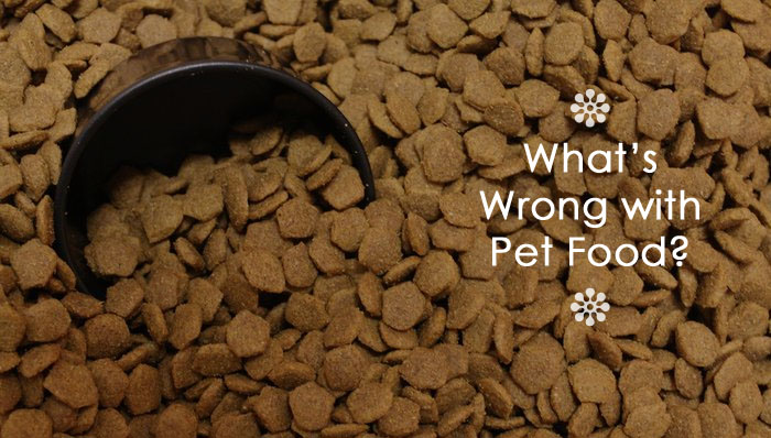 What’s Wrong With Pet Food?