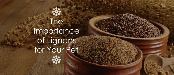 Lignans for your pet