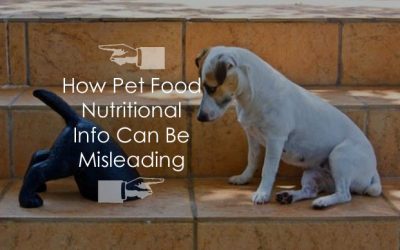 How Pet Food Nutritional Info Can Be Misleading