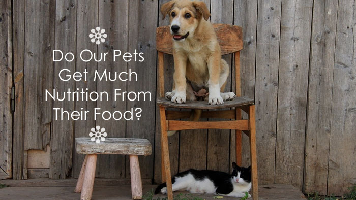 Do Our Pets Get Much Nutrition From Their Food?